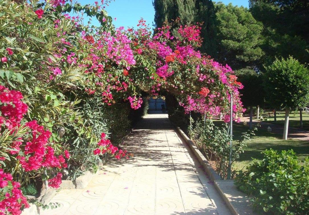 Cortijo El Llano Villa Almería Exterior foto